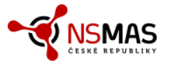 NS MAS logo