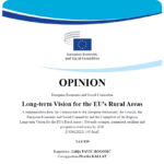 EESC  opinion on the Long Term Vision adopted