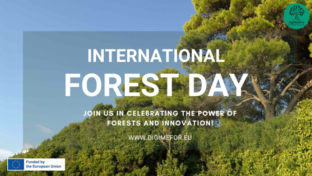 Celebrating International Forest Day: Transforming the Future of Forestry
