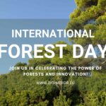 Celebrating International Forest Day: Transforming the Future of Forestry