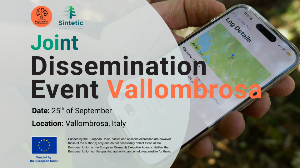 From Forest to Future: DigiMedFor Event in Vallombrosa