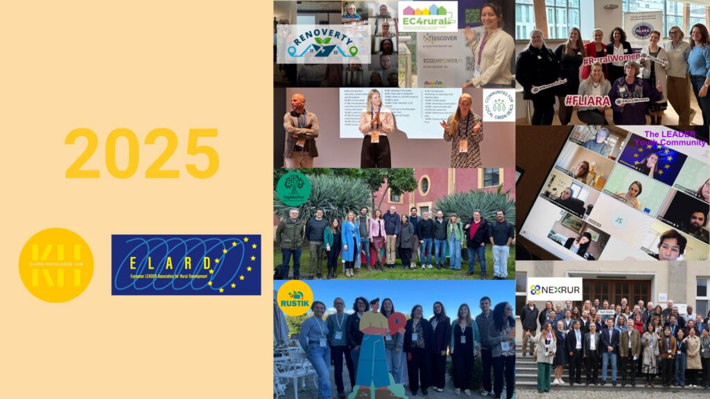 ELARD Knowledge Hub: A Year of Growth and Partnerships