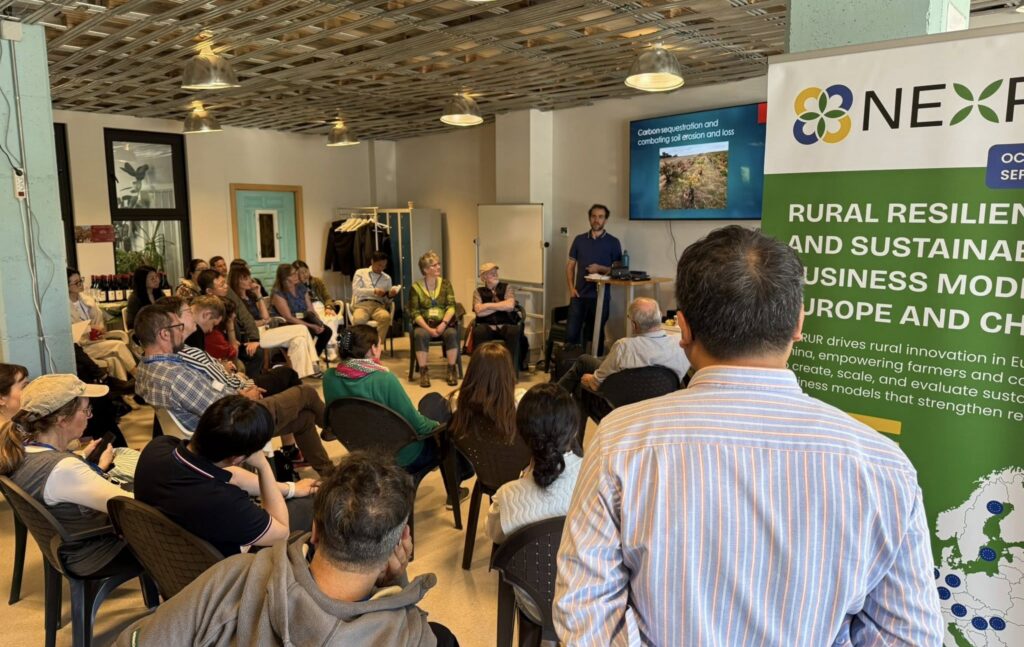 Reflections from the NEXRUR Community-led Business Model Innovation Workshop