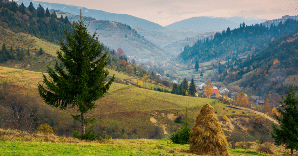 Europe needs its rural areas. Are Member States and regions ready to unlock their potential?