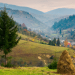 Europe needs its rural areas. Are Member States and regions ready to unlock their potential?